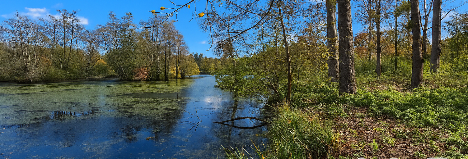 Terrain  7365 m² à vendre à Mareuil-sur-Ourcq (60890)
