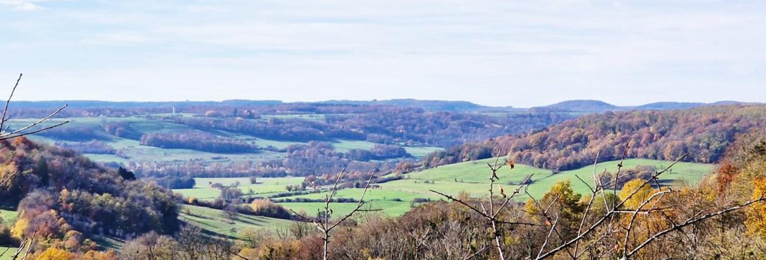 Maison 3 Pièces 98 m² à vendre à Coiffy-le-Haut (52400)