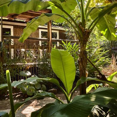 Appartement 3 pièces 645 €