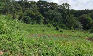 Terrain  583 m² à vendre à Saint-Claude (97120)