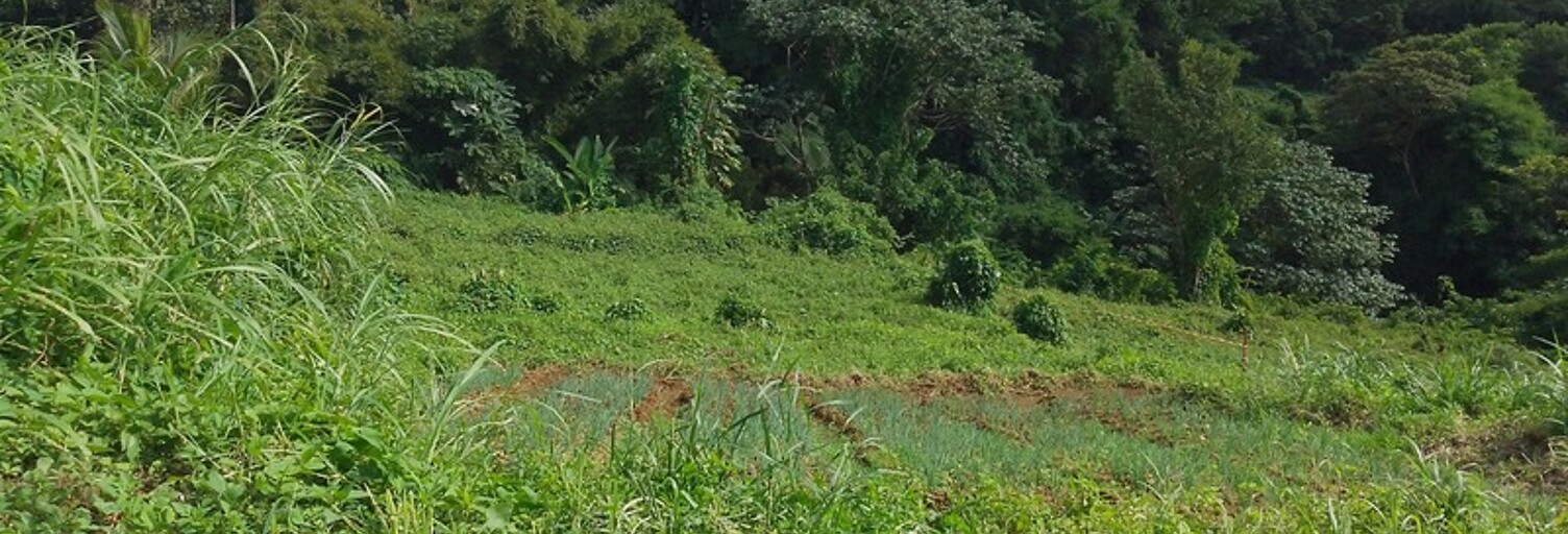 Terrain  583 m² à vendre à Saint-Claude (97120)