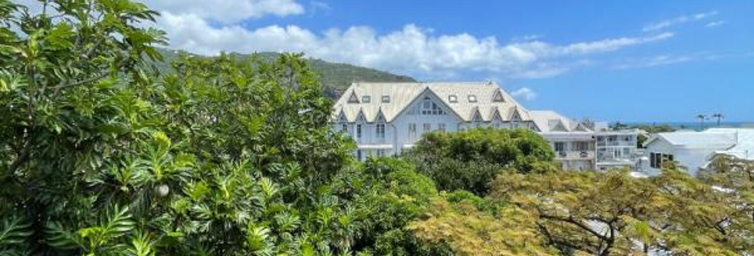 Appartement 3 Pièces 85 m² à vendre à Saint-Denis (97400)