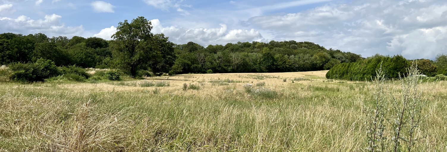 Terrain   m² à vendre à Neuville-sur-Ailette (02860)