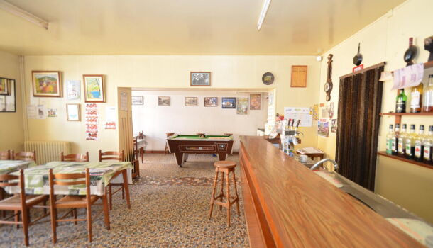 Immeuble 8 pièces  à vendre Saint-Louis-en-l'Isle 24400