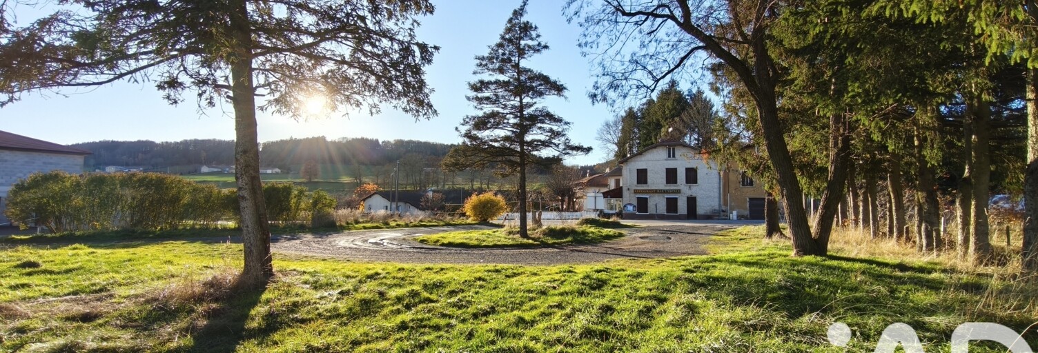 Maison 14 Pièces 420 m² à vendre à Saint-Georges-Lagricol (43500)