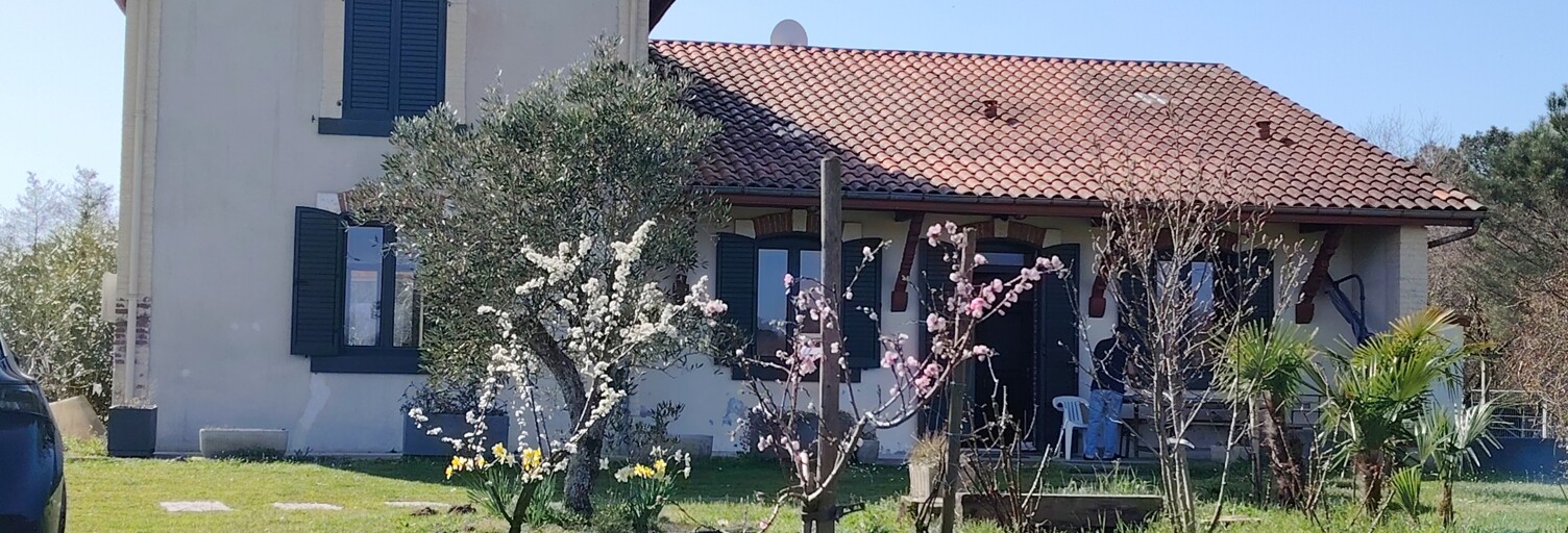 Photo N° 2