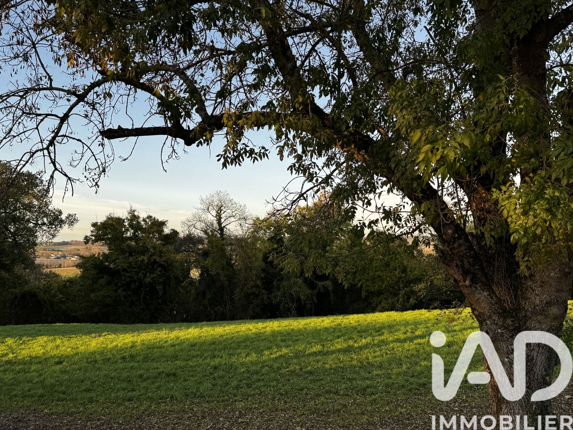 St-Bonnet-Sur-Gironde - 1346m²