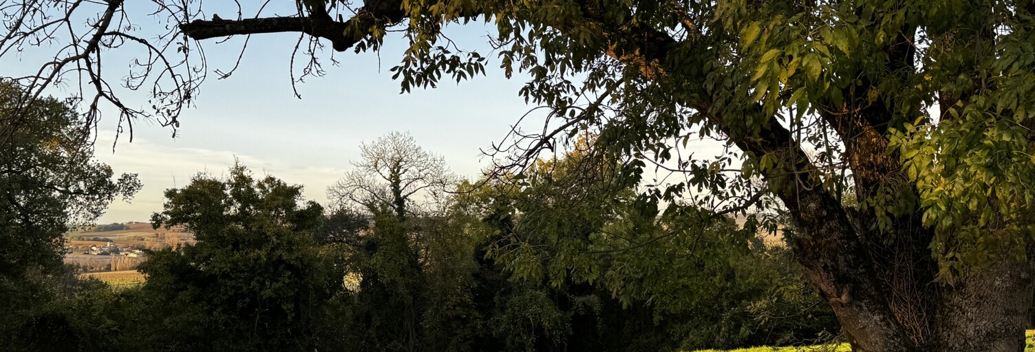 Terrain  1346 m² à vendre à Saint-Bonnet-sur-Gironde (17150)