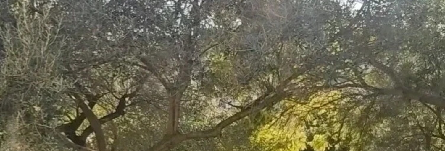 Maison 4 Pièces 67 m² à vendre à La Seyne-sur-Mer (83500)