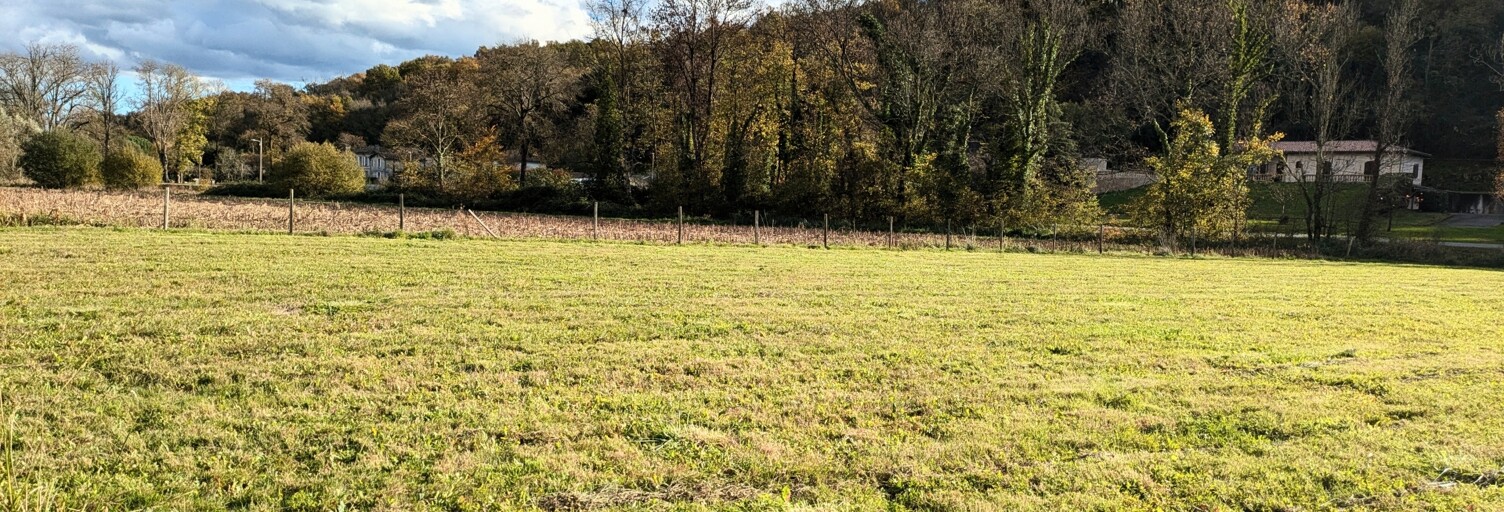 Terrain  2231 m² à vendre à Branne (33420)