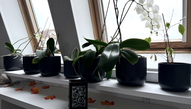 Appartement 3 pièces  à vendre Dizy 51530