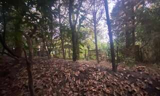 Terrain  1057 m² à vendre à Saint-Pierre-du-Mont (40280)