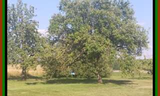 Maison 9 Pièces 210 m² à vendre à Courcelles-lès-Semur (21140)