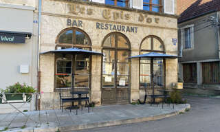 Maison 7 Pièces 323 m² à vendre à L'Isle-sur-Serein (89440)