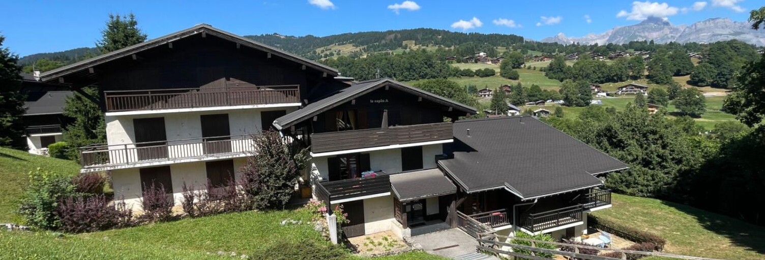 Appartement 2 Pièces 29 m² à vendre à Demi-Quartier (74120)