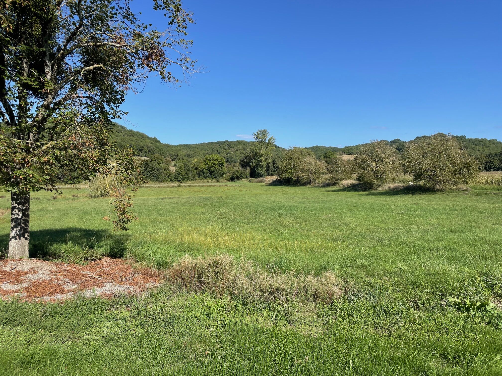 TERRAIN AGRICOLE PLAT 9 HECTARES