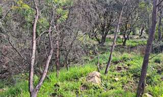 Terrain 2150 m² à construire La Môle (83310)