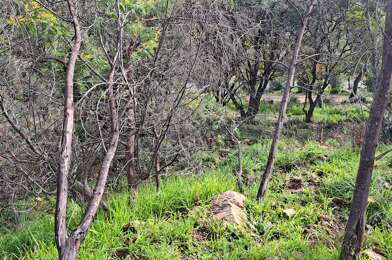 Terrain  400000 €