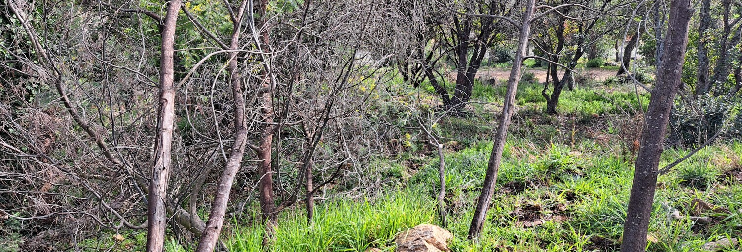 Terrain 2150 m² à construire La Môle (83310)