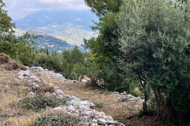 Terrain  230000 €