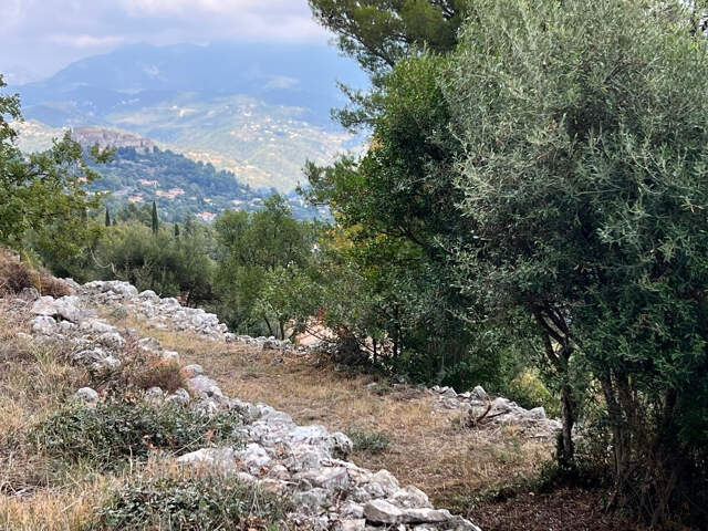 TERRAIN 1238 m2 — photo du bien