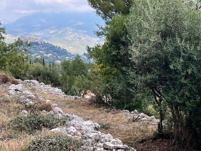 TERRAIN 1238 m2 — photo 1