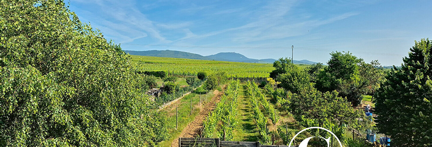 Maison 8 Pièces 200 m² à vendre à Beblenheim (68980)