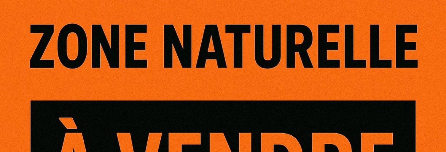 Terrain  29599 m² à vendre à Roura (97311)