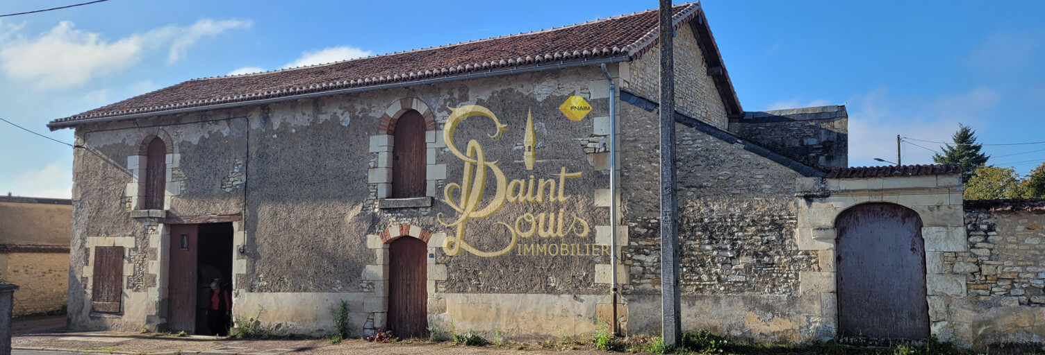 Divers 1 Pièce 200 m² à vendre à Richelieu (37120)