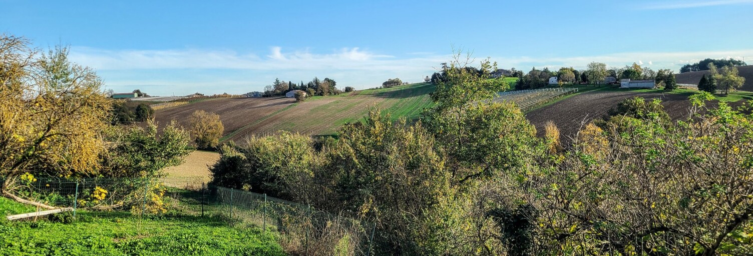 Maison 15 Pièces 556 m² à vendre à Saint-Vincent-Lespinasse (82400)