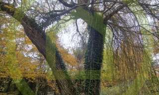 Terrain  1091 m² à vendre à Béthemont-la-Forêt (95840)