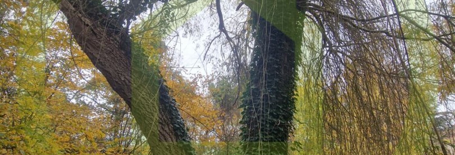 Terrain  1091 m² à vendre à Béthemont-la-Forêt (95840)