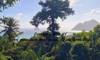 Maison 4 Pièces 87 m² à vendre à Le Diamant (97223)