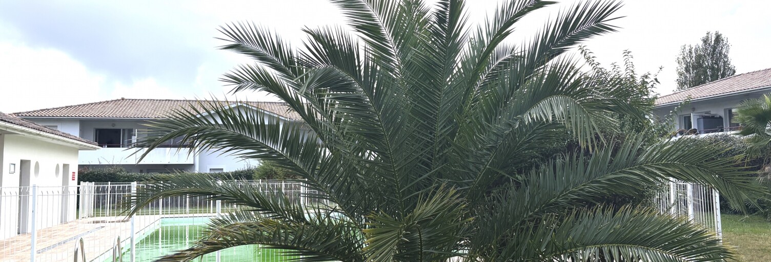 Appartement 2 Pièces 42 m² à vendre à La Teste-de-Buch (33260)