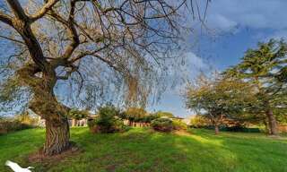 Maison 7 Pièces 200 m² à vendre à Verfeil (31590)