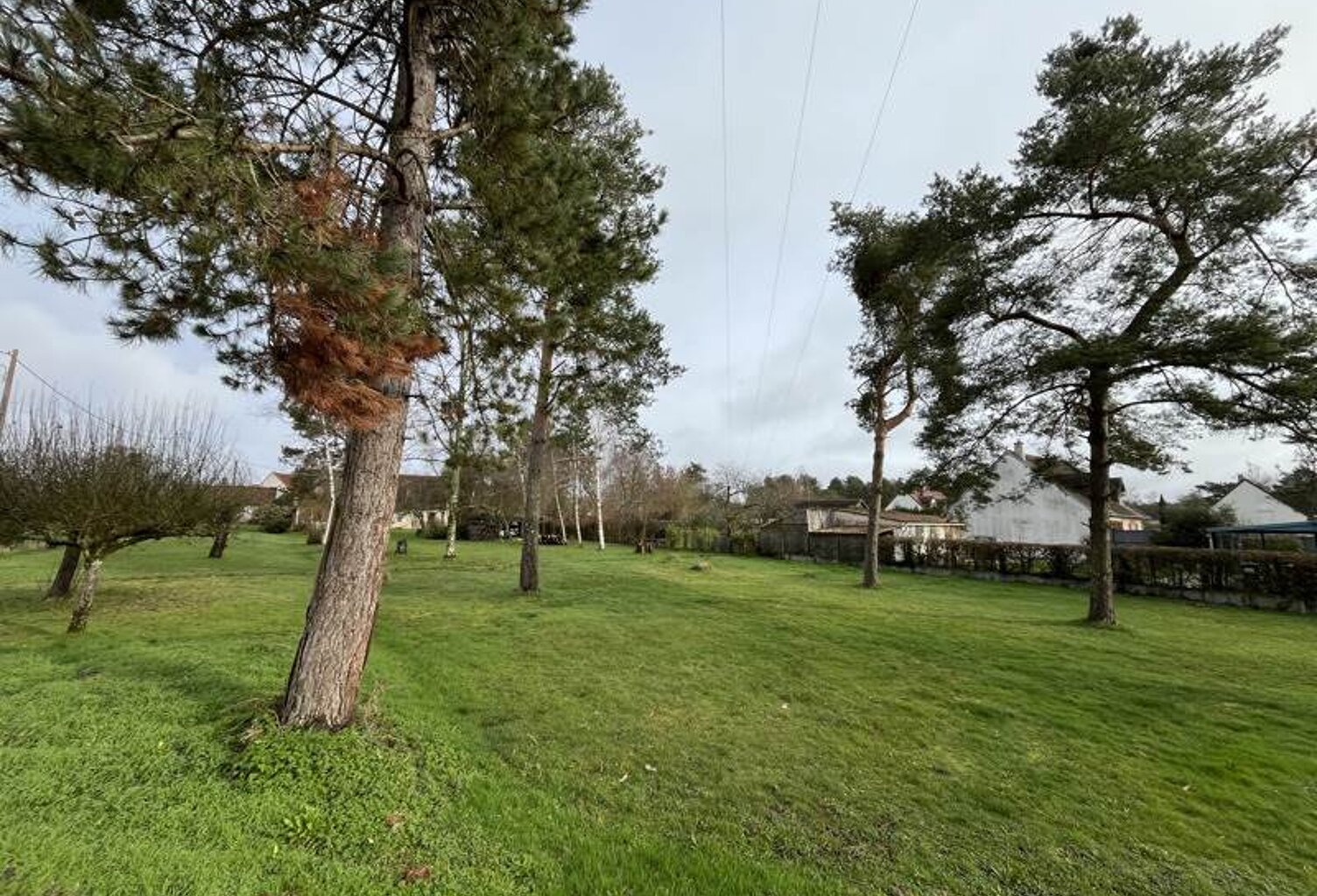 Vente terrain  951 m² Mont-près-Chambord (41250) — photo 1