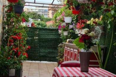 Commerce  154000 €