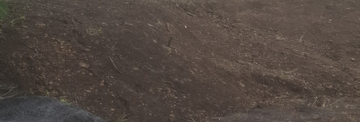 Terrain  302 m² à vendre à Saint-Denis (97490)