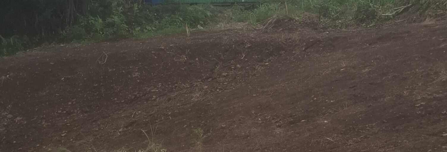 Terrain  491 m² à vendre à Saint-Denis (97490)