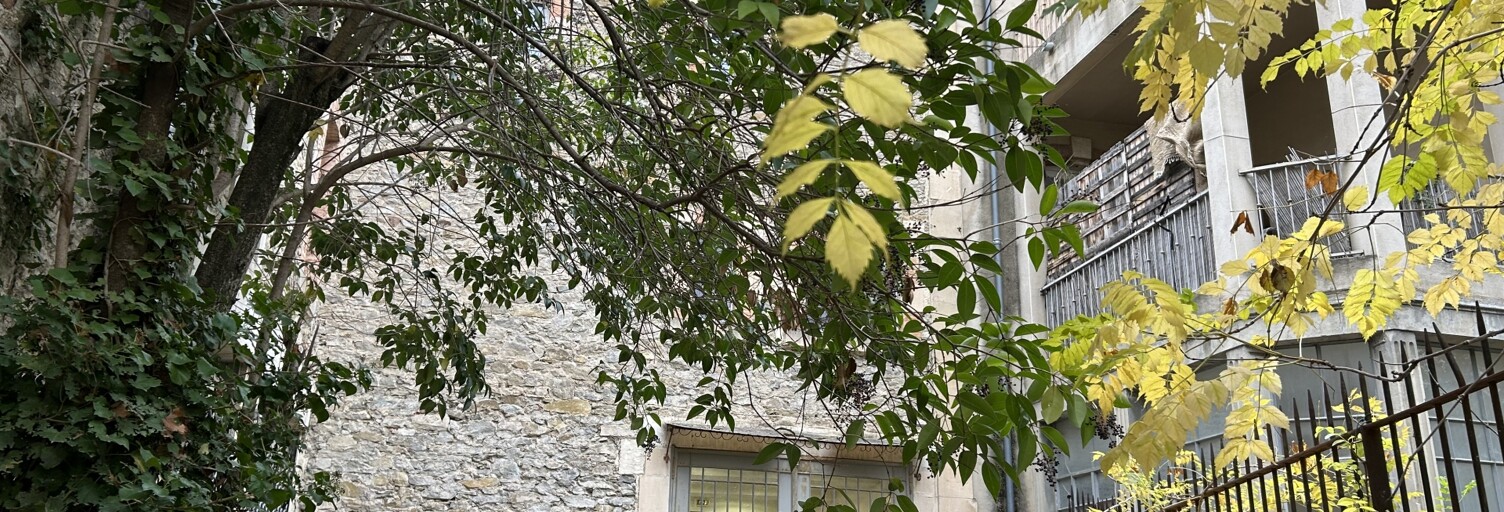 Immeuble  385 m² à vendre à Pépieux (11700)