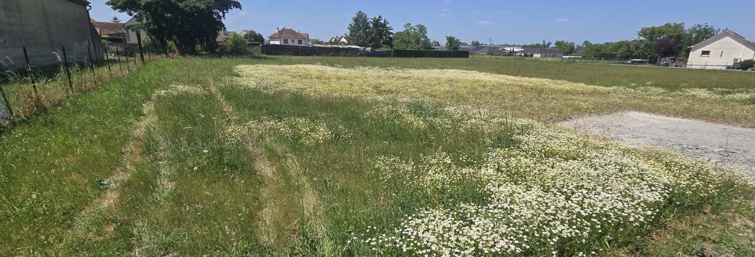 Terrain  1480 m² à vendre à Saint-Pourçain-sur-Sioule (03500)