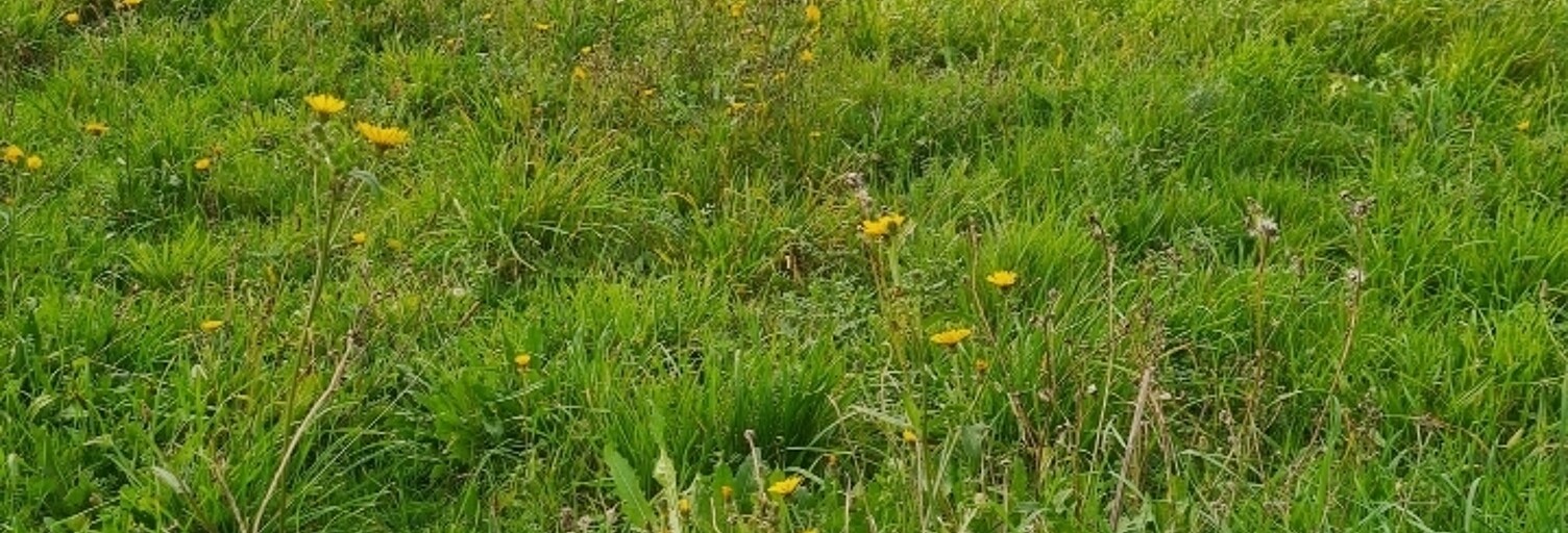 Terrain  2140 m² à vendre à Le Thou (17290)