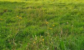 Terrain  2140 m² à vendre à Le Thou (17290)