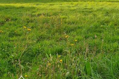 Terrain  252000 €