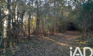 Terrain  3132 m² à vendre à Biscarrosse (40600)