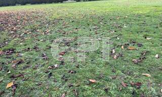 Terrain  823 m² à vendre à Artannes-sur-Thouet (49260)