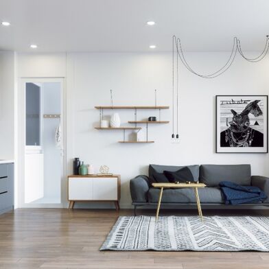 Appartement 3 pièces 237000 €