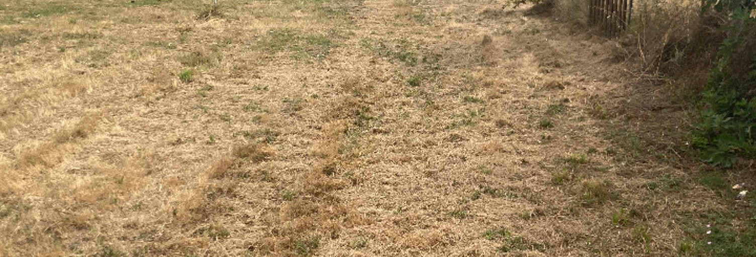 Terrain  5000 m² à vendre à Camps-sur-l'Isle (33660)