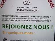 LOCAL COMMERCIAL/PRO A LOUER — photo 2