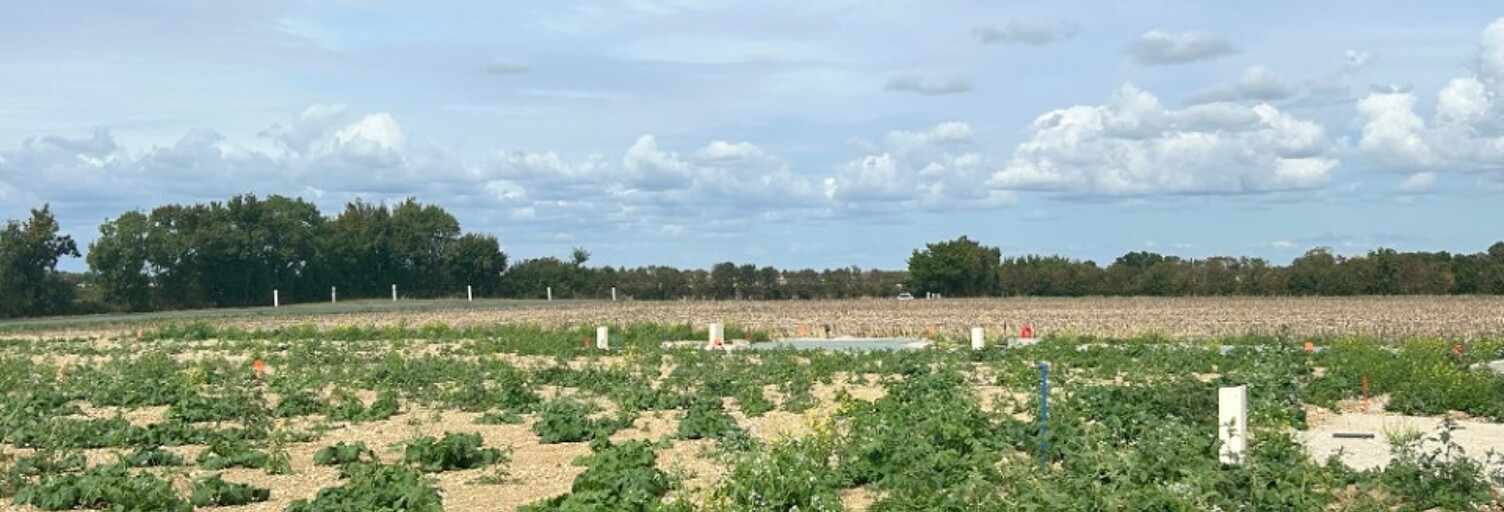 Terrain  356 m² à vendre à Saint-Jean-de-Liversay (17170)